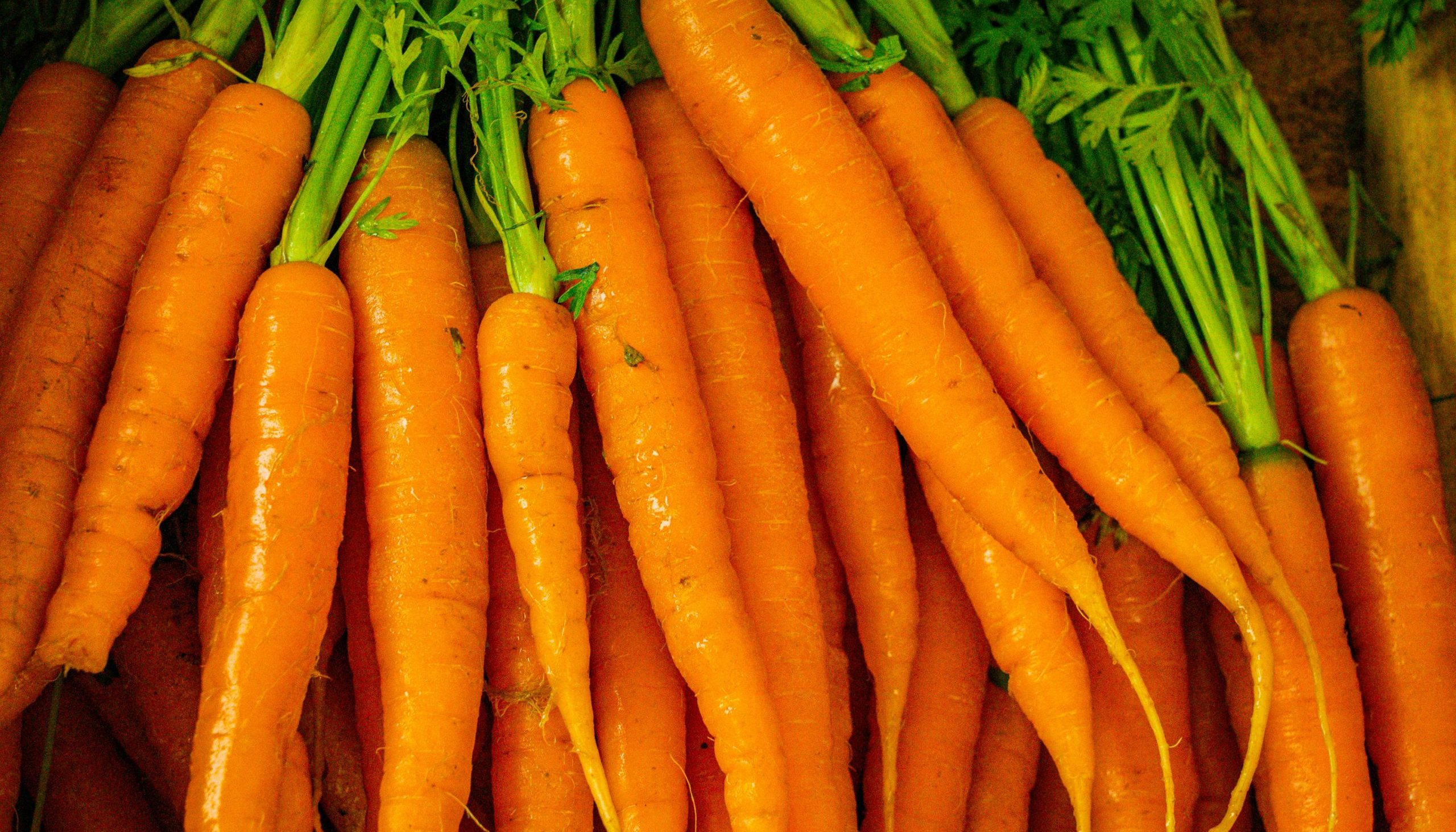 국토부 부동산 직거래 플랫폼 관리 강화 나서 부동산 직거래 시장의 변화와 정부 대응